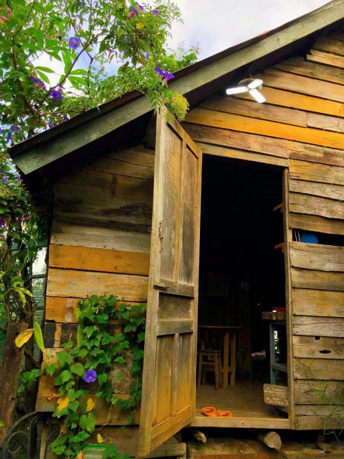 Montagnards Home Farm - Ca Phe Nha San Dak Mil Duc Lap Экстерьер фото